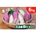 野菜類 サツマイモ 鹿児島さつまいも 5品種