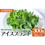 野菜類 受付中 12月中旬以降お申し込み順に発送予定