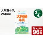 飲料類 乳飲料 3ヶ月毎4回定期便 大阿蘇牛乳 250ml