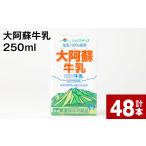 飲料類 乳飲料 大阿蘇牛乳 250ml