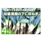 野菜類 ねぎ 加藤農園の下仁田ねぎ 約4kg