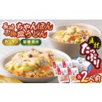 うどん 具材付き 長崎ちゃんぽん 皿うどん揚麺 各2人前