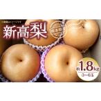 ふるさと納税 梨 熊本県 八代市 先行予約 新高梨 約1.8kg(3~6玉) 梨 なし 新高 2025年9月上旬より順次発送