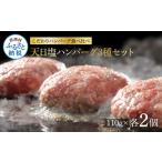 ふるさと納税 肉 ハンバーグ 高知県 芸西村 食べ比べ 天日塩ハンバーグ3種セット各2個(110g×3種) 合計6個 ハンバーグ 黒毛和牛 美鮮豚 天然塩 天日塩 デミグ…