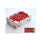 ショッピングふるさと納税 いちご ふるさと納税 いちご 埼玉県 東松山市  先行予約 あまりん 2パック×260g まなこころ・葵 ｜ あまりん アマリン イチゴ 苺 いちご あおい 新鮮 中粒 箱 2P 真…