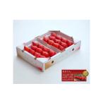 ショッピングふるさと納税 いちご ふるさと納税 いちご 埼玉県 東松山市  先行予約 あまりん 2パック×280g まなこころ・楓 ｜ あまりん アマリン イチゴ 苺 いちご かえで 新鮮 中粒 箱 2P 真…