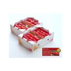 ショッピングふるさと納税 いちご ふるさと納税 いちご 埼玉県 東松山市  先行予約 あまりん 4パック×260g まなこころ・葵 ｜ あまりん アマリン イチゴ 苺 いちご あおい 新鮮 中粒 箱 4P 真…