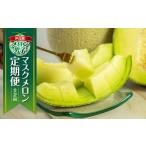 ふるさと納税 メロン メロン青肉 愛知県 田原市  定期便 先行予約 マスクメロン 2回 伊良湖産 2玉 2Lサイズ 2025年7月スタート