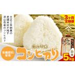 令和7年産 コシヒカリ 米 5kg