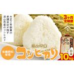 令和7年産 コシヒカリ 米 10kg