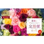 薔薇のアレンジメント 20本+ユーカリ