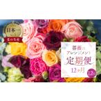 薔薇 アレンジメント バラ20本+ユーカリ