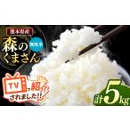 ふるさと納税 無洗米 熊本県 和水町  令和7年産 熊本県産 森のくまさん 無洗米 5kg | 小分け 5kg × 1袋 熊本県産 こめ 米 無洗米 ごはん 銘柄米 ブランド米 …