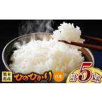 米 ヒノヒカリ 令和7年産 ひのひかり 白米 5kg