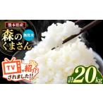 ふるさと納税 無洗米 熊本県 和水町 新米予約 令和7年産 熊本県産 森のくまさん 無洗米 20kg | 小分け 5kg × 4袋 熊本県産 こめ 米 無洗米 ごはん 銘柄米 ブ…