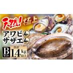 ショッピングおせち 2024 ふるさと納税 福井県 美浜町 【期間限定】天然！極上 アワビ ＆ サザエ セットB【2024年6月20日から2024年8月10日まで発送】【産地直送 刺身 お造り おせち バ…