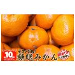 ふるさと納税 果物類 みかん 和歌山県 有田川町 ［先行予約］訳あり それでも 熟成みかん 箱込10kg ( 内容量 9.2kg ) サイズミックス Ｂ品 有田みかん 和歌山…