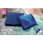 小物 ケース 伝統工芸 東京手描友禅 ポケットティッシュ入れ