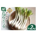 人参 大根 他根菜 発送 島らっきょう 生 約 2kg