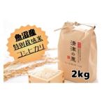 ふるさと納税 米 コシ