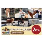 体験チケット うまんまパーク 入場券 チケット