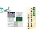 文房具 玩具 受験教材下敷き 5枚セット │下敷き
