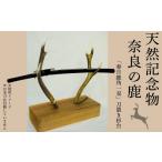 和装 天然記念物奈良の鹿 春日鹿角一双 刀置き杉台