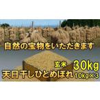 ふるさと納税 米 ひと