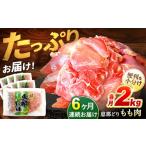 鶏肉 モモ 6回定期便 冷凍 恵那どり もも肉