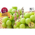 ふるさと納税 ぶどう マスカット 山梨県 市川三郷町  2026年9月上旬から発送 山梨県産シャインマスカット　１kg箱(2房程度)　丹澤農園 5839-1994