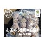 果物類 柿 さらら農園の市田柿 2kg