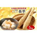 人参 大根 他根菜 2026年 出荷 長芋 2L×約6本 計5kg