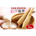 人参 大根 他根菜 2027年出荷 長芋 2L×約6本 計5kg