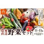 野菜 農家直送 新鮮 セット ラージサイズ 11~13品