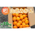 ふるさと納税 果物類 みかん 高知県 香南市 訳あり みかん 10kg 山北みかん ご家庭用 約10kg(80〜120個程度) 山北みらい - 果物 フルーツ 柑橘類 温州みかん…