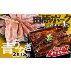 豚肉 セット 青うなぎ&田原ポーク 渥美半島よくばりセット