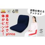 インテリア navy 姿勢を整えるクッションp