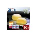ふるさと納税 和菓子 生菓子 宮城県 大河原町 萩の月 10個入り 仙台銘菓 定番 お土産 菓匠三全 和菓子 洋菓子 和洋菓子 お菓子 生菓子 銘菓 ギフト 宮城