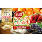 果物の詰合せ フルーツ定期便 米定期便 5回