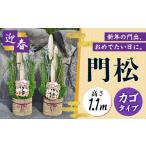 花 苗木 門松 1.1m カゴタイプ 一対 お正月飾り