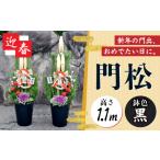 花 苗木 門松 一対 モダン 1.1m お正月飾り