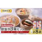 麺類 3回定期便 具材付き 長崎ちゃんぽん