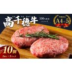 牛肉 ハンバーグ 高千穂牛 100%使用 黒毛和牛