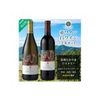 ふるさと納税 ワイン 白ワイン 長野県 高山村 信州たかやまワイナリーの赤ワイン・白ワイン2本セット(メルロー&カベルネ、シャルドネ) 1402296
