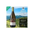 ふるさと納税 ワイン 白ワイン 長野県 高山村 信州たかやまワイナリーのシャルドネ白ワイン1本(長野県高山村産ワインブドウ100%のワイン) 1402297