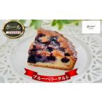 ケーキ カステラ ブルーベリータルト ホール