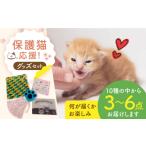 保護猫応援 グッズセット 詰め合わせAタイプ