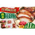 鶏肉 朝挽き 清流美どり お弁当セット 5種