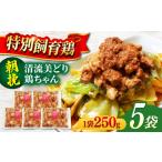 鶏肉 鶏ちゃん 朝挽き 清流美どり 250g×5P
