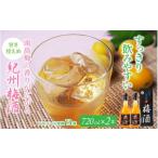 お酒 リキュール 紀州梅酒 720ml×2本入